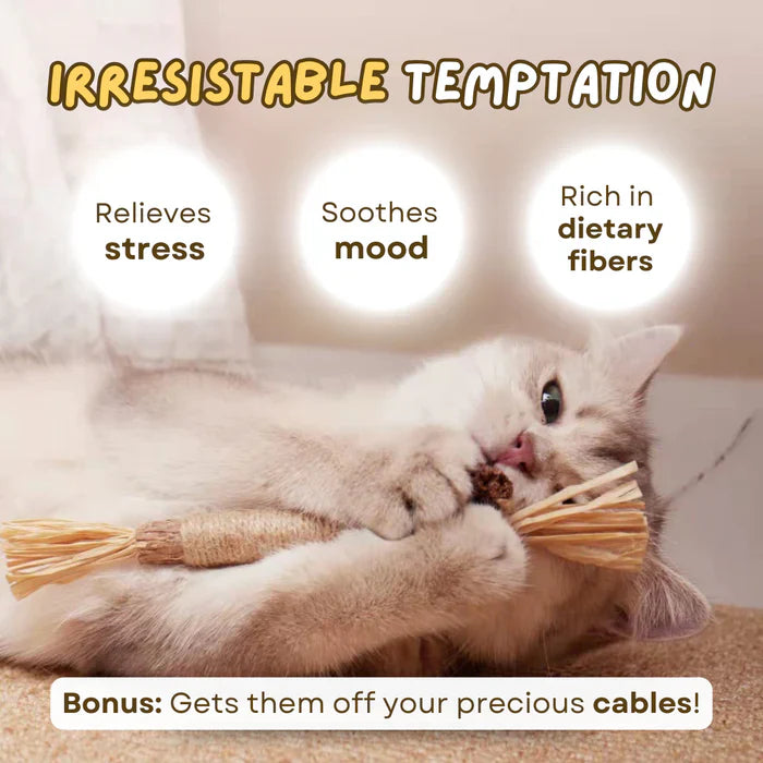 All Natural Teething Toy