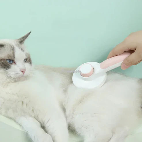 All-in-1 Cat Brush