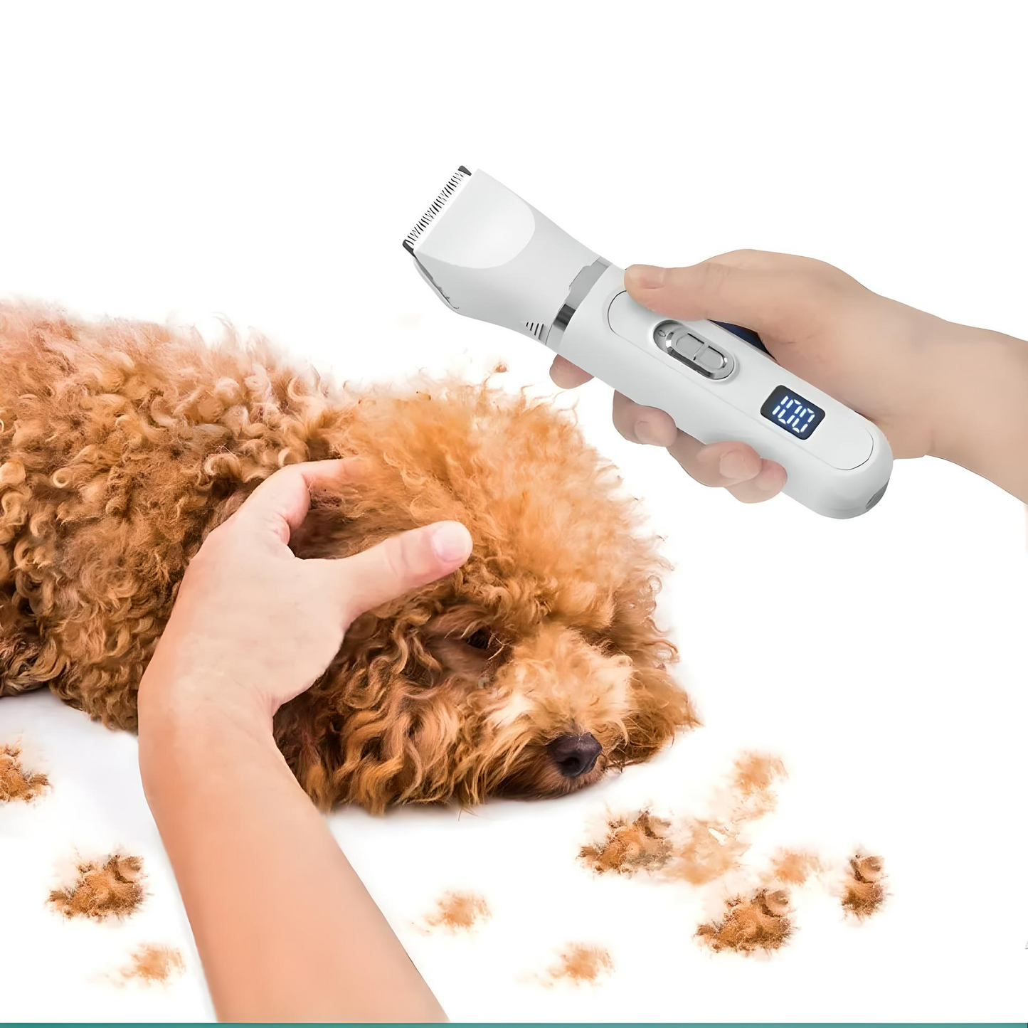 4-in-1 Pet Shaver